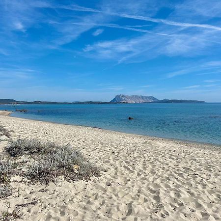 Iss Travel, San Teodoro 1 - 100 M From Cala D'Ambra Beach Eksteriør bilde