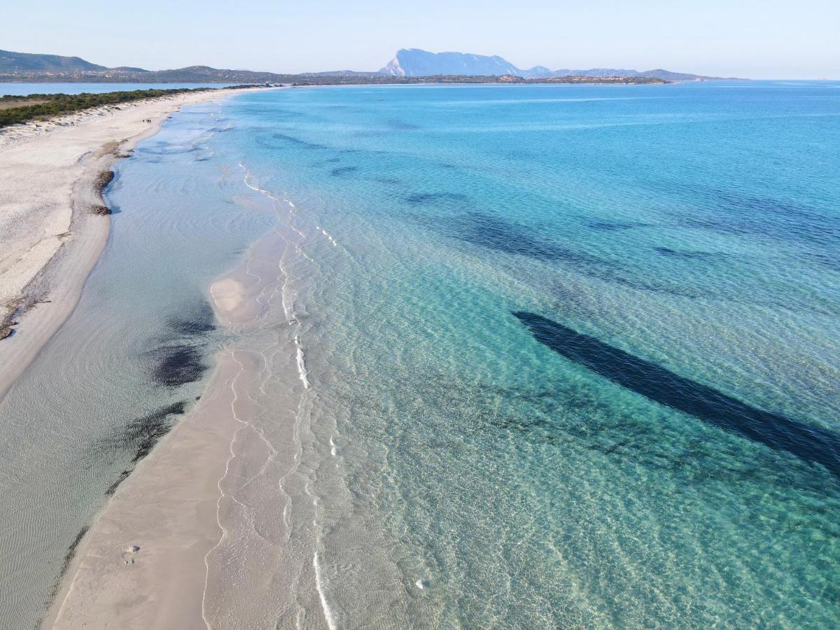 Iss Travel, San Teodoro 1 - 100 M From Cala D'Ambra Beach Eksteriør bilde