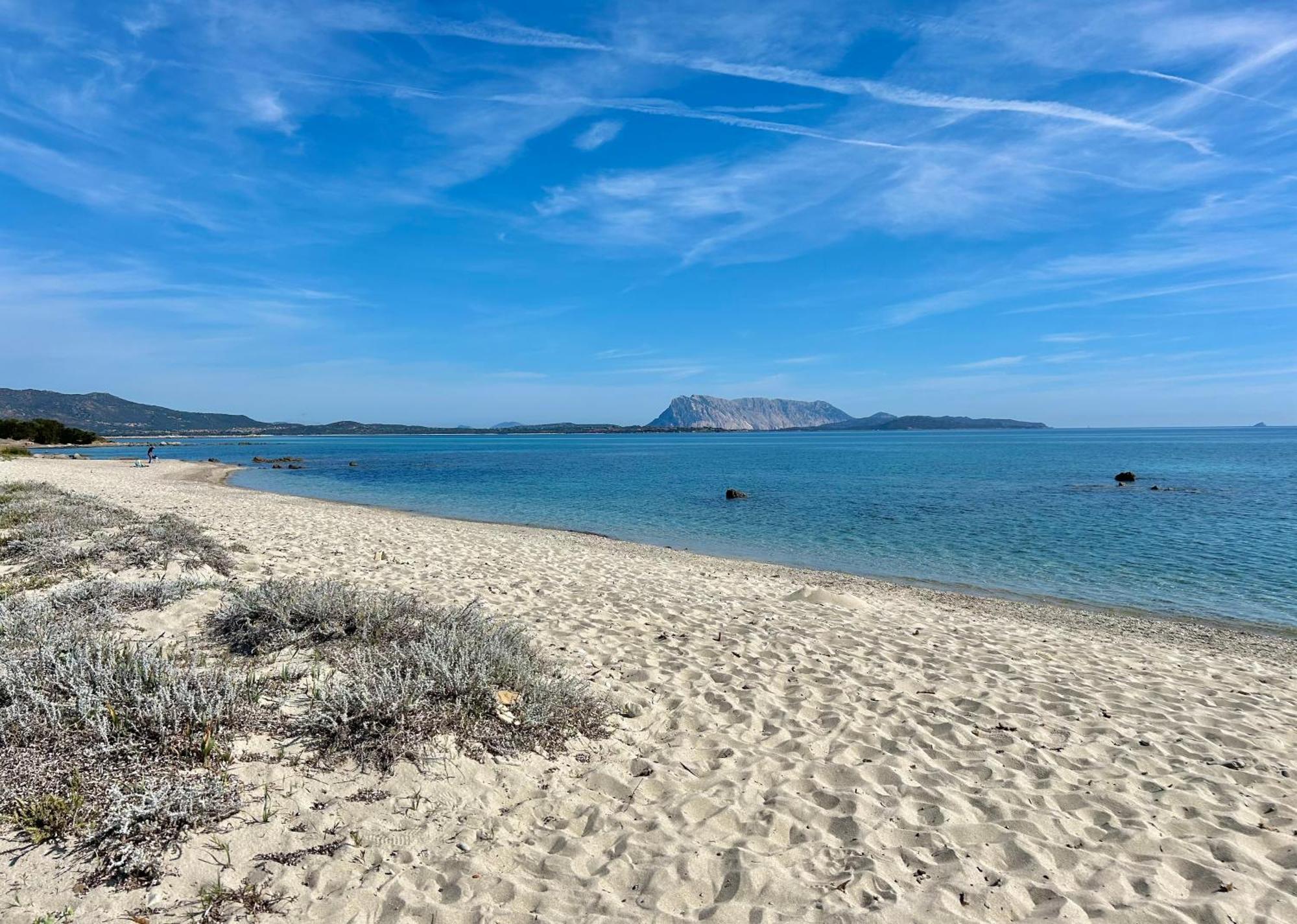 Iss Travel, San Teodoro 1 - 100 M From Cala D'Ambra Beach Eksteriør bilde